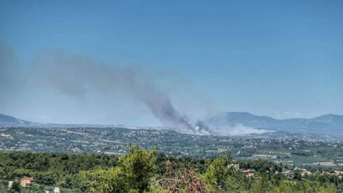 Υπό έλεγχο φωτιά στο Σχηματάρι, στο 75ο χλμ της Ε.Ο Αθηνών - Λαμίας