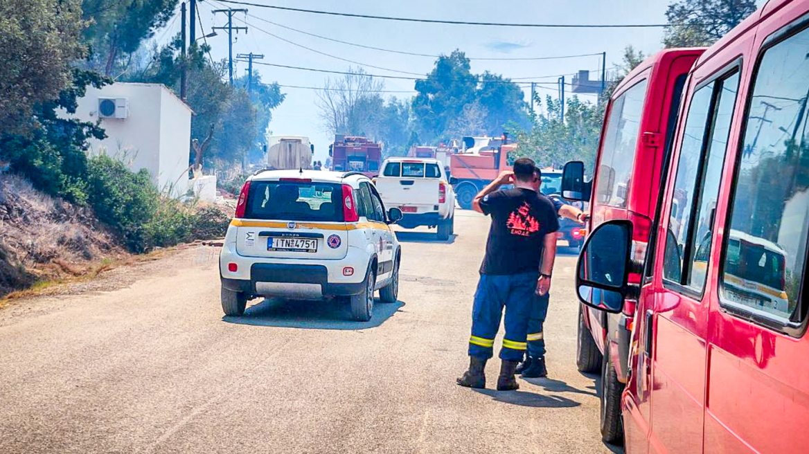 Σε εξέλιξη οι φωτιές στη Βοιωτία - Πύρινα μέτωπα σε Πρόδρομο και Ταρσό, σηκώθηκαν και εναέρια μέσα   