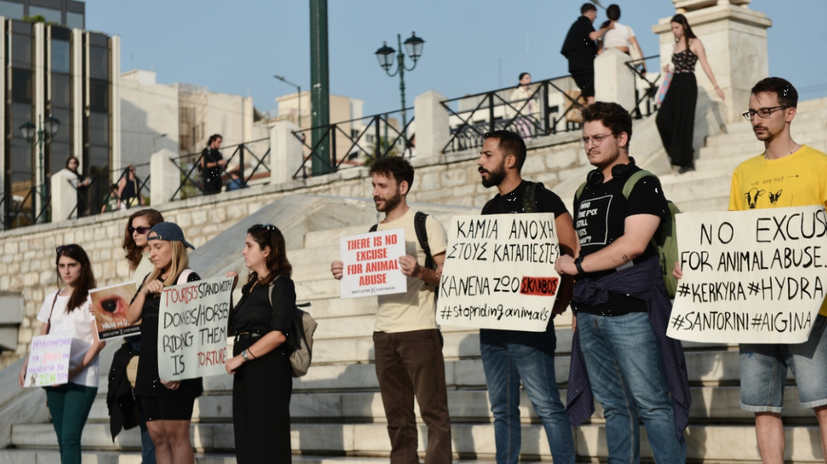 Παγκόσμια Ημέρα Ζώων - Σύνταγμα: Ακτιβιστές διαδηλώνουν για τα δικαιώματα των ζώων (φωτογραφίες)