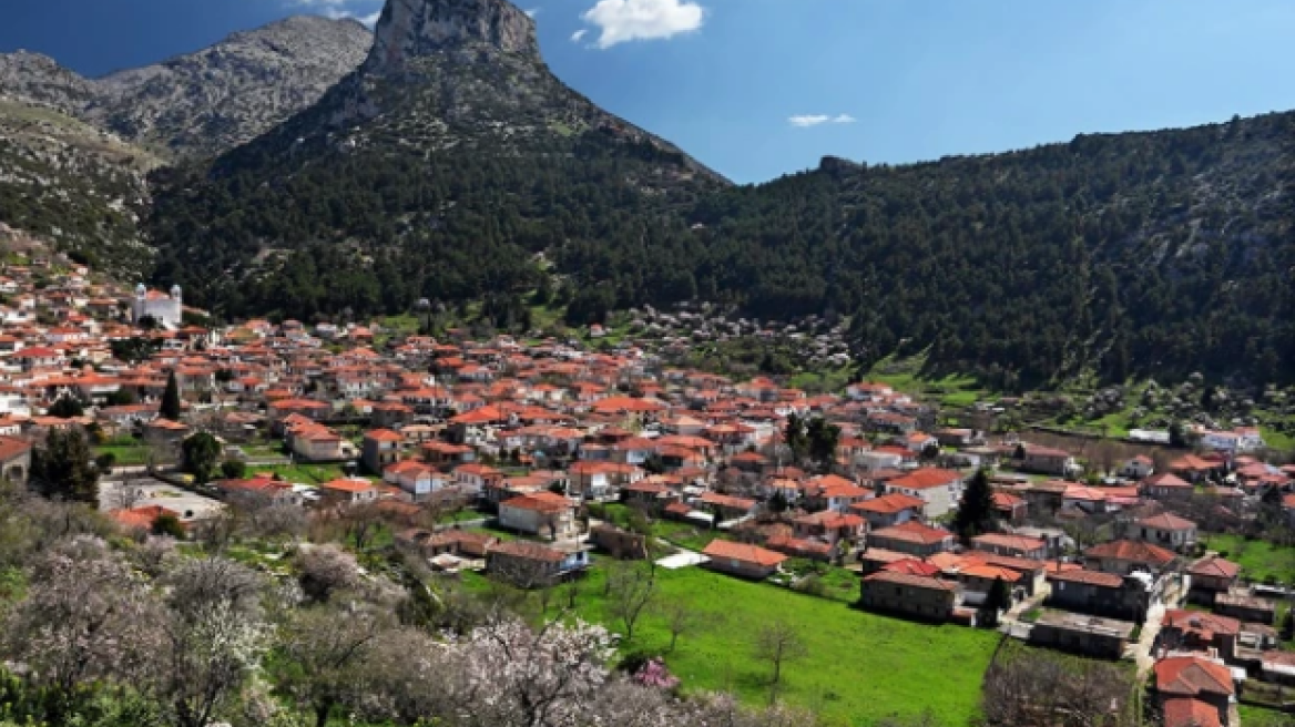 Χειροπέδες σε ηλικιωμένο που έκλεβε ελιές από κτήμα στο Άργος