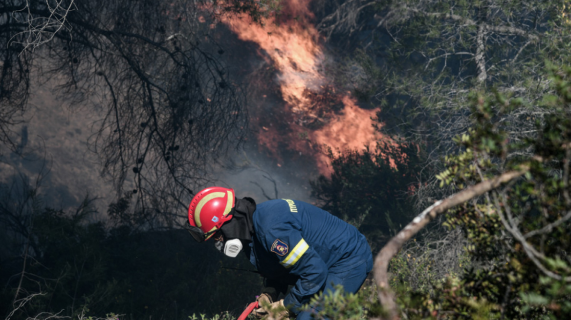 Προσλήψεις 650 δασοκομάντος στην Πυροσβεστική - Δείτε το ΦΕΚ