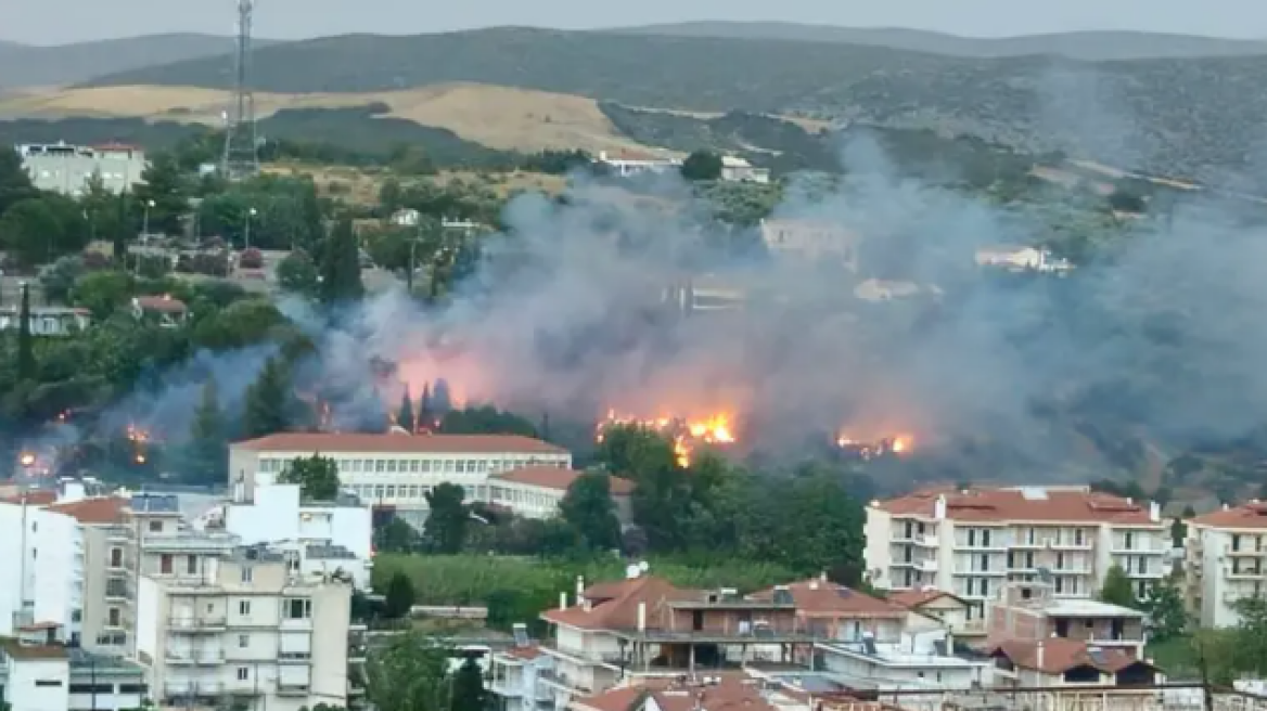 Λιβαδειά: Υπό μερικό έλεγχο η φωτιά πίσω από το νοσοκομείο (βίντεο)