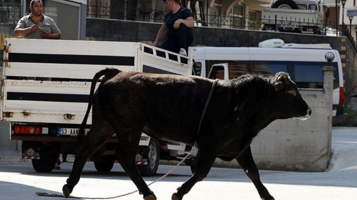 Τουρκία: Σχεδόν 16.000 άνθρωποι τραυματίστηκαν στην γιορτή της Θυσίας 