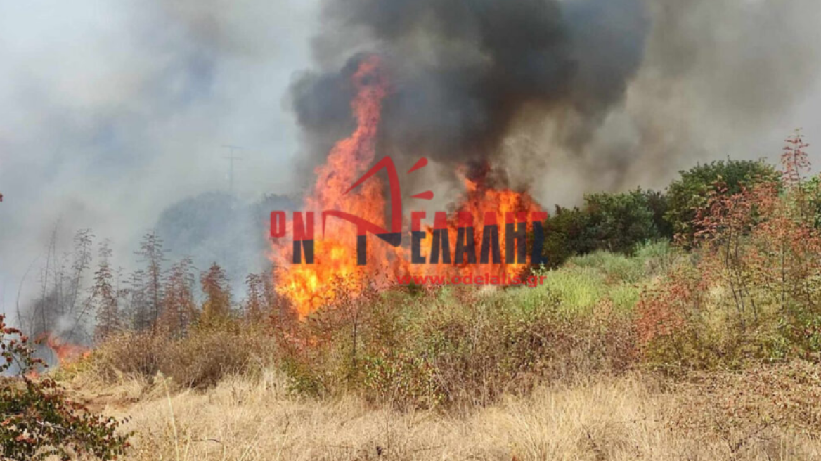 Θεσσαλονίκη: Υπό μερικό έλεγχο η φωτιά στην Πλάκα Λιτοχώρου