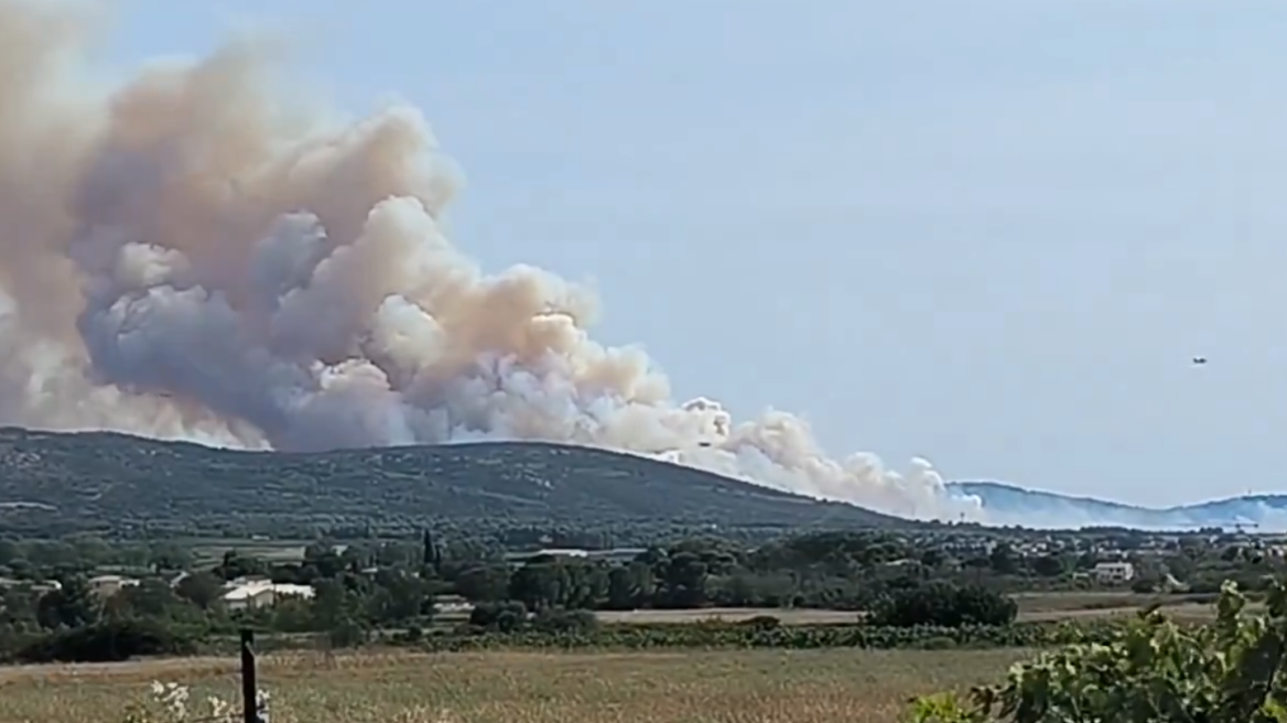 Γαλλία: Πυρκαγιά σε κάμπινγκ της νότιας Γαλλίας - Απομακρύνονται 3.000 παραθεριστές