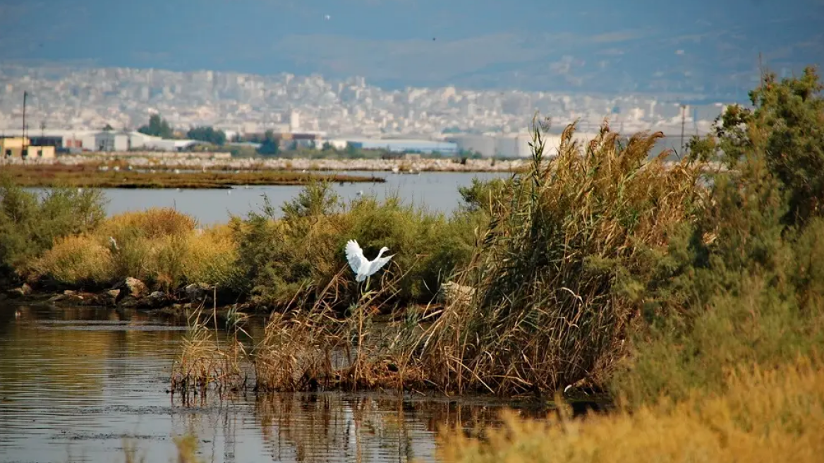 Θεσσαλονίκη: Συνελήφθη 48χρονος οδηγός φορτηγού που πετούσε ογκώδη απόβλητα σε περιοχή Natura