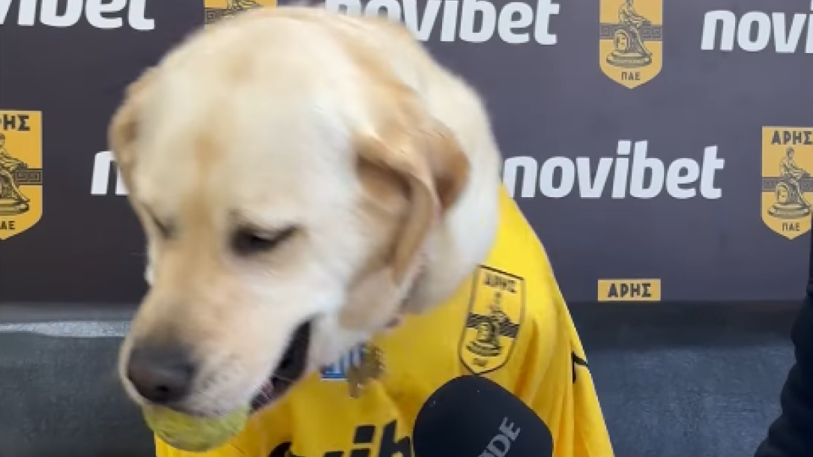 Η... συνέντευξη του σκύλου του Άρη - Τι τρώει όταν κερδίσει η ομάδα του και πως αντιδρά στα γκολ - Βίντεο 