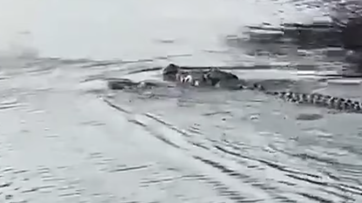 Τραγικός θάνατος για 13χρονο στην Ινδονησία: Πήγε να πιάσει μπάλα που έπεσε σε ποτάμι και τον άρπαξε κροκόδειλος