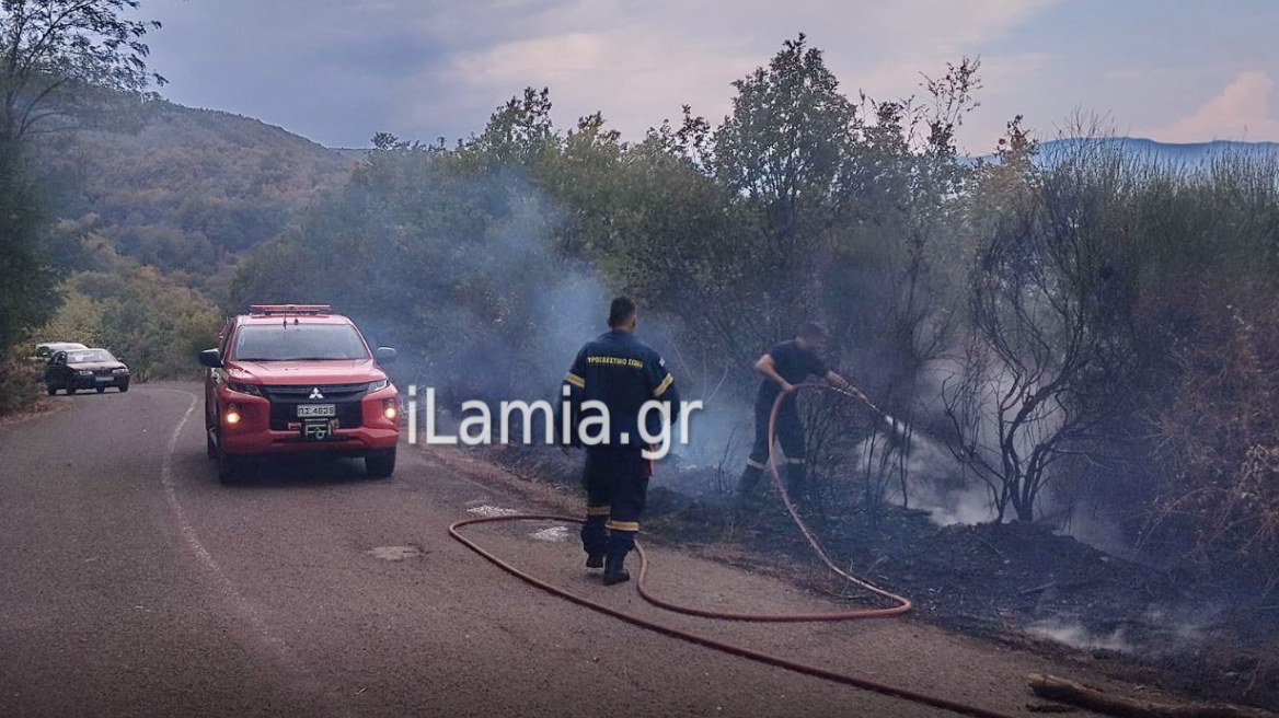 Φωτιά τώρα στη Φθιώτιδα, σηκώθηκαν δύο αεροσκάφη και ένα ελικόπτερο