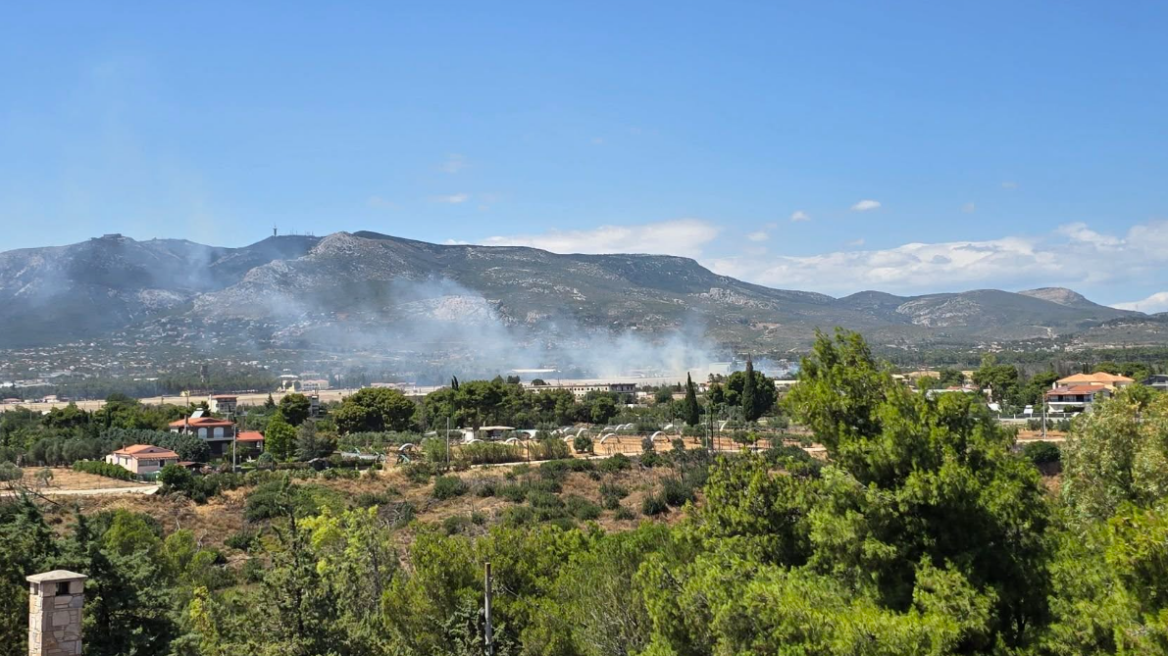 
Φωτιά στο Τατόι, κοντά στο αεροδρόμιο