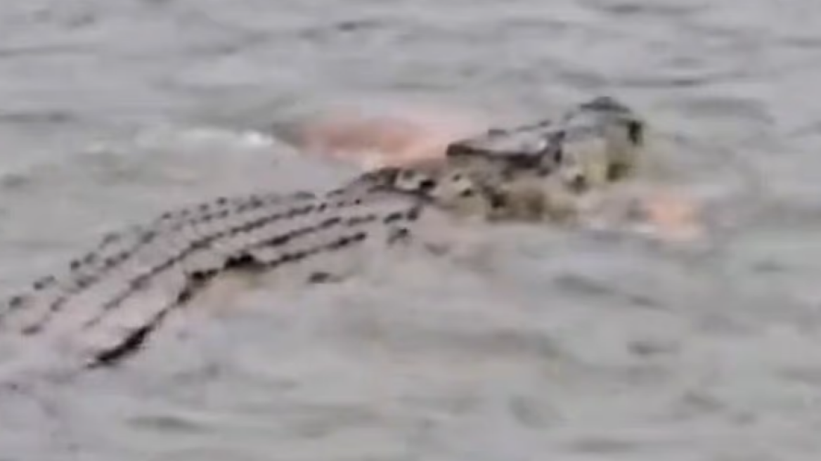 Ινδονησία: Φρικτός θάνατος για 80χρονο - Τον άρπαξε κροκόδειλος ενώ έκανε μπάνιο σε ποτάμι, δείτε βίντεο
