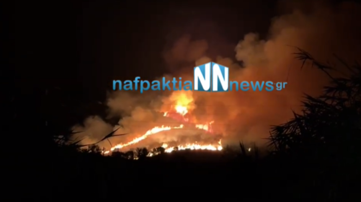 Φωτιά στην Μακύνεια Ναυπακτίας