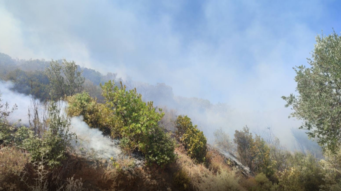 Υπό μερικό έλεγχο η φωτιά στην περιοχή Νερόμυλος Μεσσηνίας