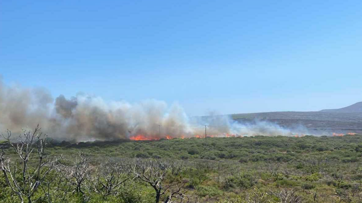 Λέκκας: «Η φωτιά στα Κύθηρα οδηγεί το νησί σε ταχεία ερημοποίηση»