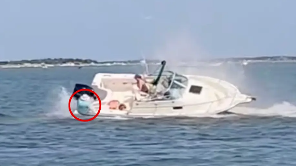 Νιού Τζέρσεϊ: Η στιγμή που φάλαινα ρίχνει στο νερό γυναίκα από σκάφος