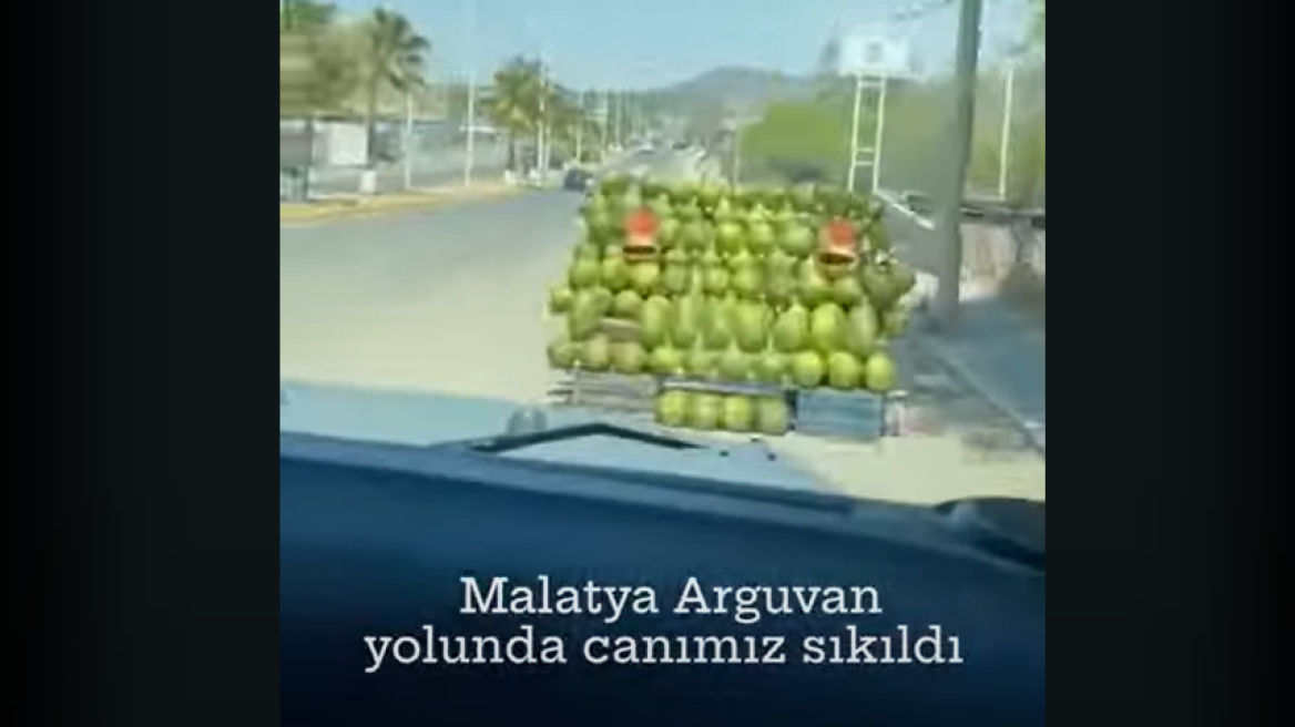 Οργή στην Τουρκία για νέους που έπεσαν με αυτοκίνητο σε καρπούζια επειδή... βαριόντουσαν - Δείτε βίντεο