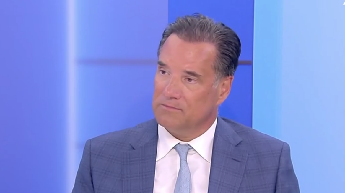 Γεωργιάδης: Ορισμένοι παράγοντες θέλουν να ρίξουν τον Μητσοτάκη