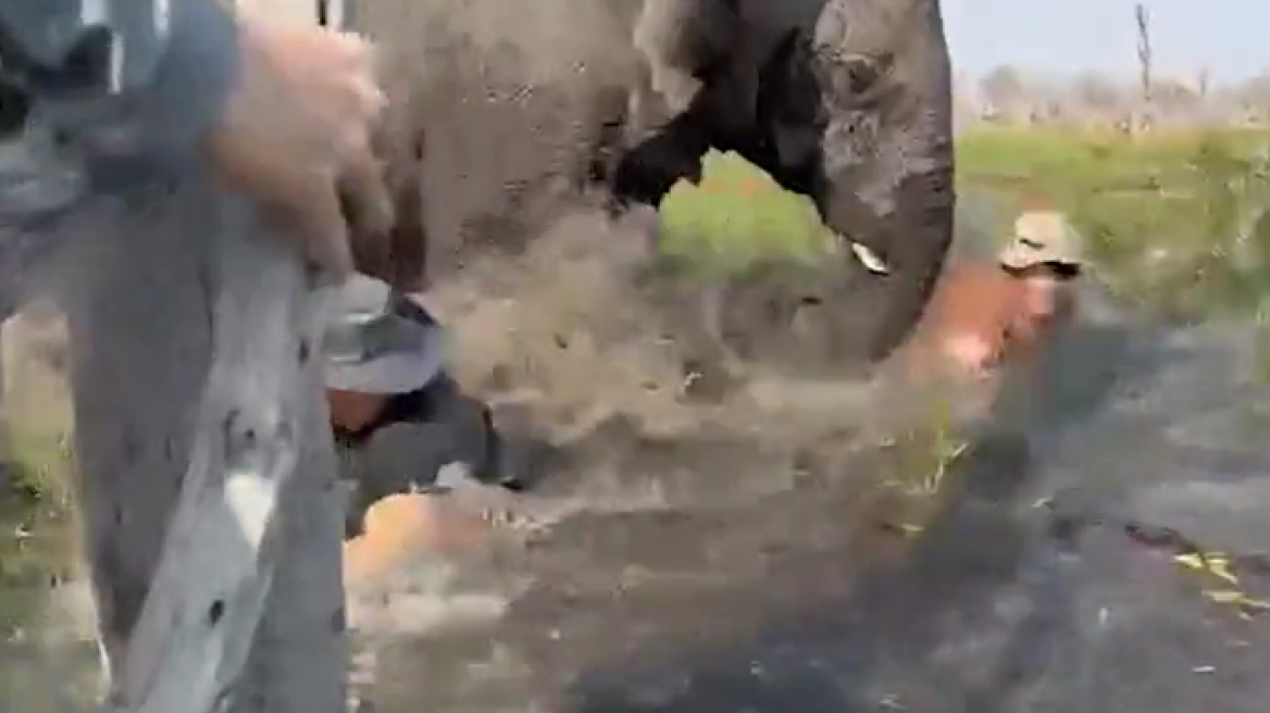 Βίντεο: Επίθεση ελέφαντα σε κανό τουριστών στην Μποτσουάνα, χτύπησε γυναίκα και τους έριξε σε νερά με κροκόδειλους