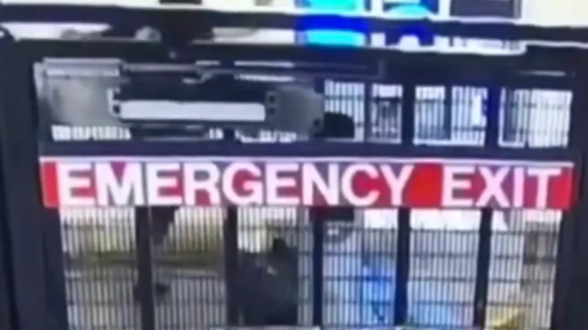 Η στιγμή της άγριας δολοφονίας 64χρονου στο μετρό της Νέας Υόρκης - Ο 25χρονος δράστης τον κλώτσησε στο κεφάλι μέχρι θανάτου