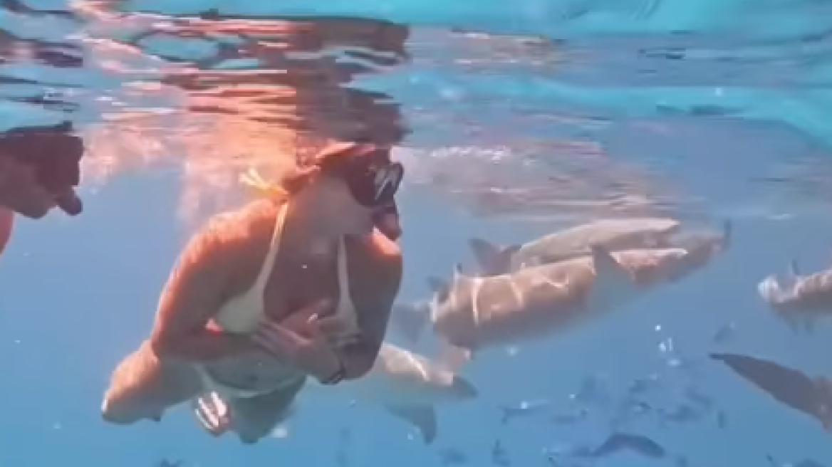 Αρίνα Σαμπαλένκα: Κολύμπησε παρέα με καρχαρίες στις Μαλδίβες - Βίντεο 