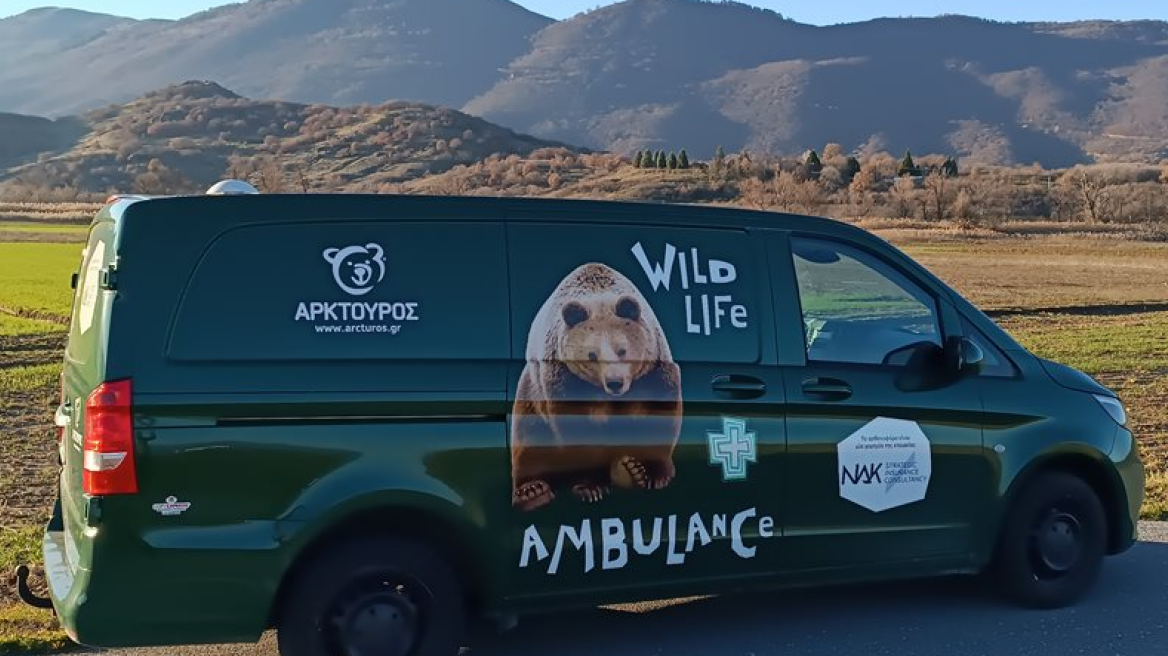 Ασθενοφόρο για αρκούδες, λύκους, ζαρκάδια και ελάφια απέκτησε ο Αρκτούρος