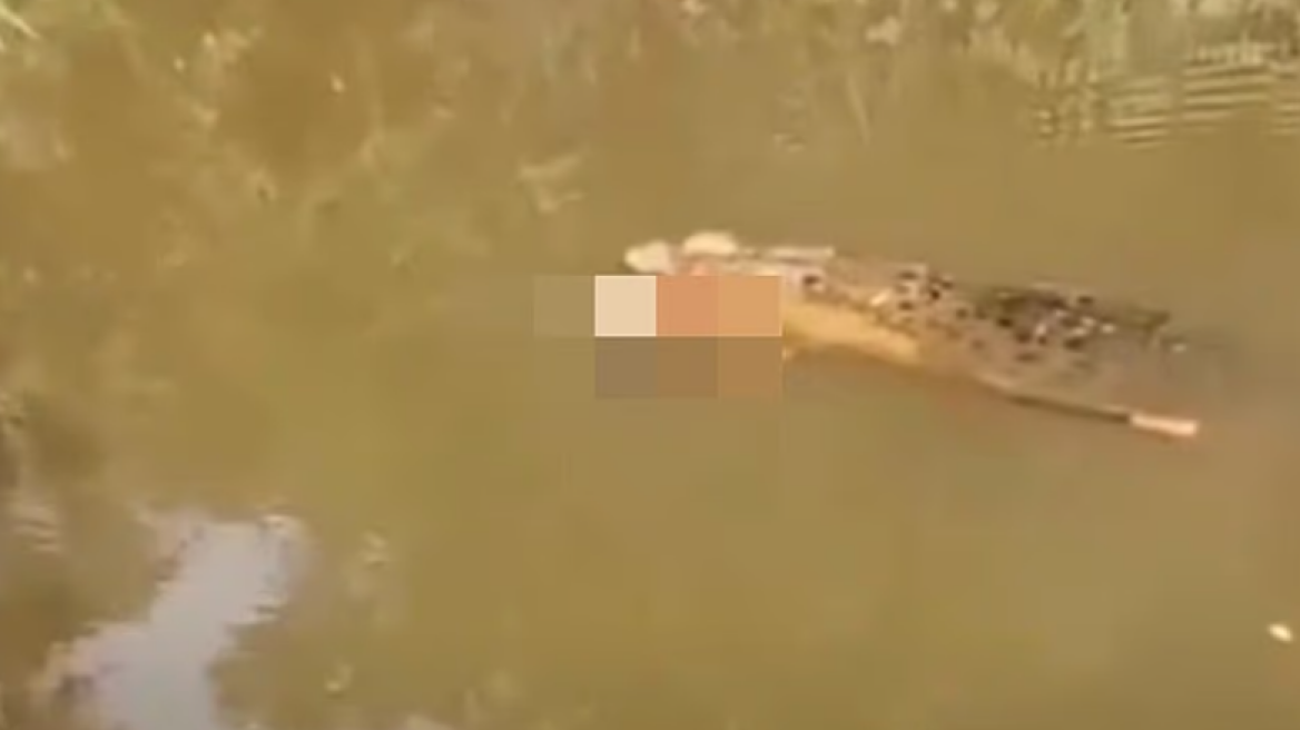 Φρικτός θάνατος για γυναίκα στην Ινδονησία: Την κατασπάραξε κροκόδειλος ενώ έψαχνε για μύδια