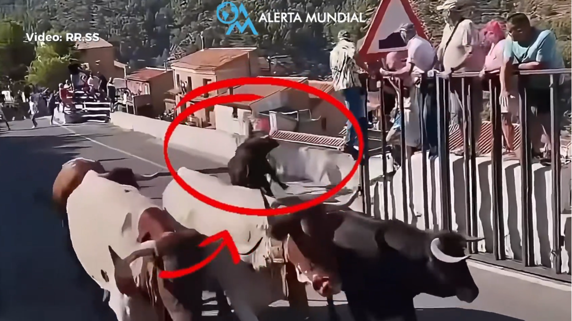 Ταύρος σκότωσε 64χρονη σε φεστιβάλ στην Ισπανία, βίντεο από την στιγμή της επίθεσης