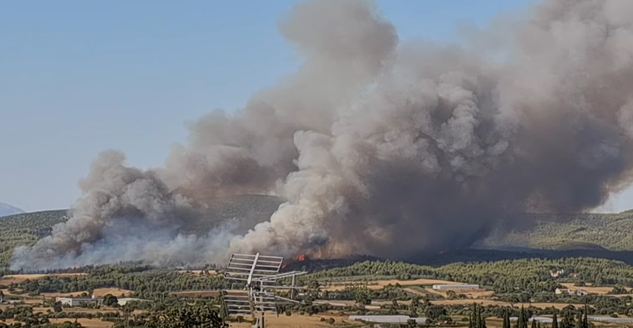 Φωτιά τώρα στο Ασπροχώρι Ωρωπού: Κοντά στο χωριό οι φλόγες, 112 για εκκένωση - Επιχειρούν 20 εναέρια