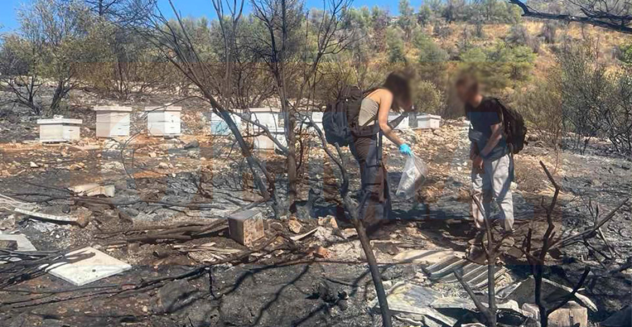 Από αδήλωτα μελίσσια η καταστροφική φωτιά στον Υμηττό - Φωτογραφίες ντοκουμέντα από το σημείο