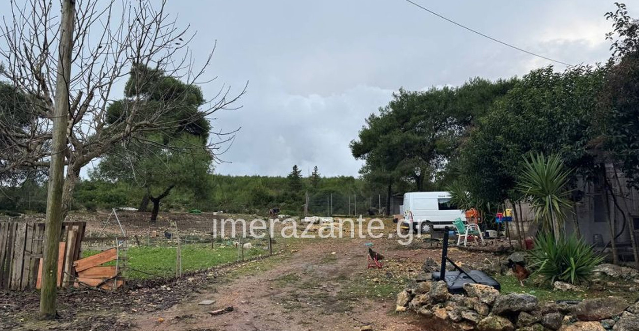 Η οικογένεια είχε βρει αδέσποτο το πίτμπουλ και το φιλοξενούσε μέχρι να δοθεί για υιοθεσία: Πώς έγινε η τραγωδία με τον 2χρονο στη Ζάκυνθο