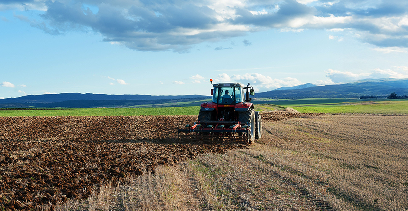 ΟΠΕΚΕΠΕ: Έπαιρναν «χρυσές» επιδοτήσεις και τώρα... κάνουν delete τα στρέμματα στο Ε9