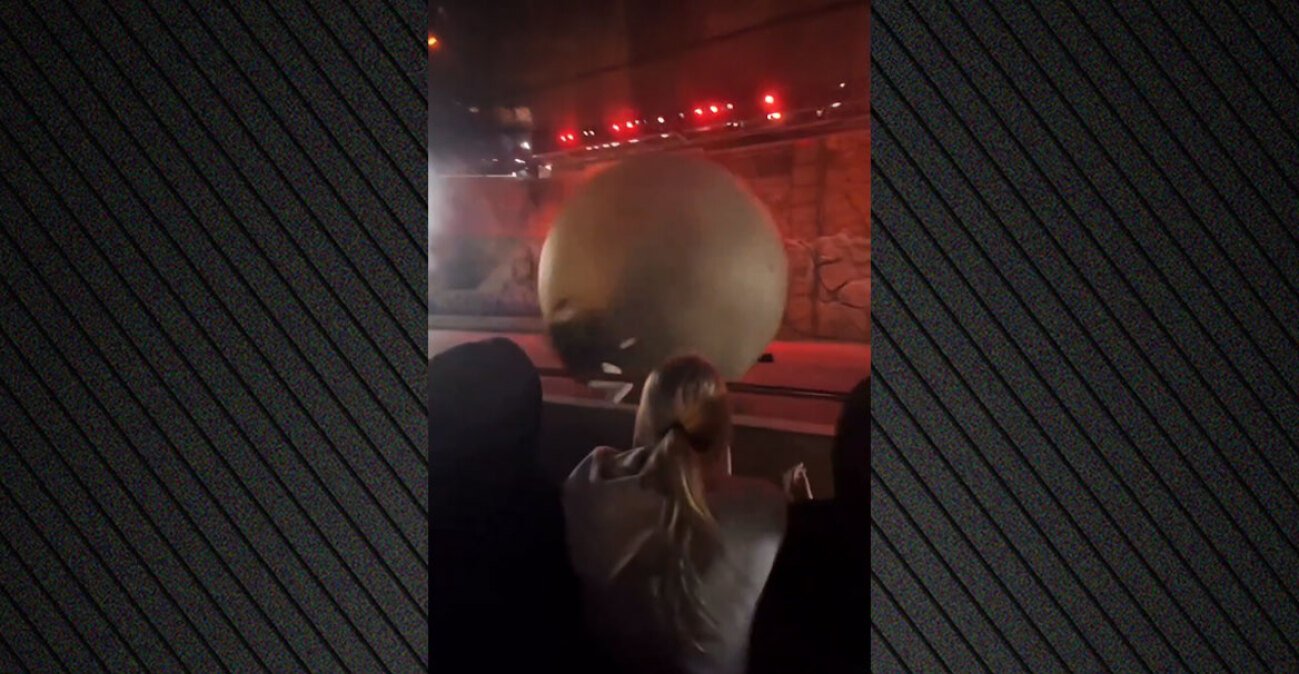 Βίντεο: Εργαζόμενος της Disney τραυματίζεται όταν σταματάει ψεύτικο βράχο 180 κιλών πριν χτυπήσει το κοινό