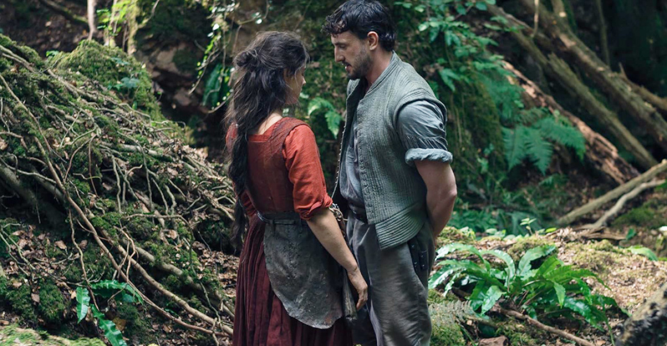 Ο οδηγός ταινιών του Δημήτρη Δανίκα
