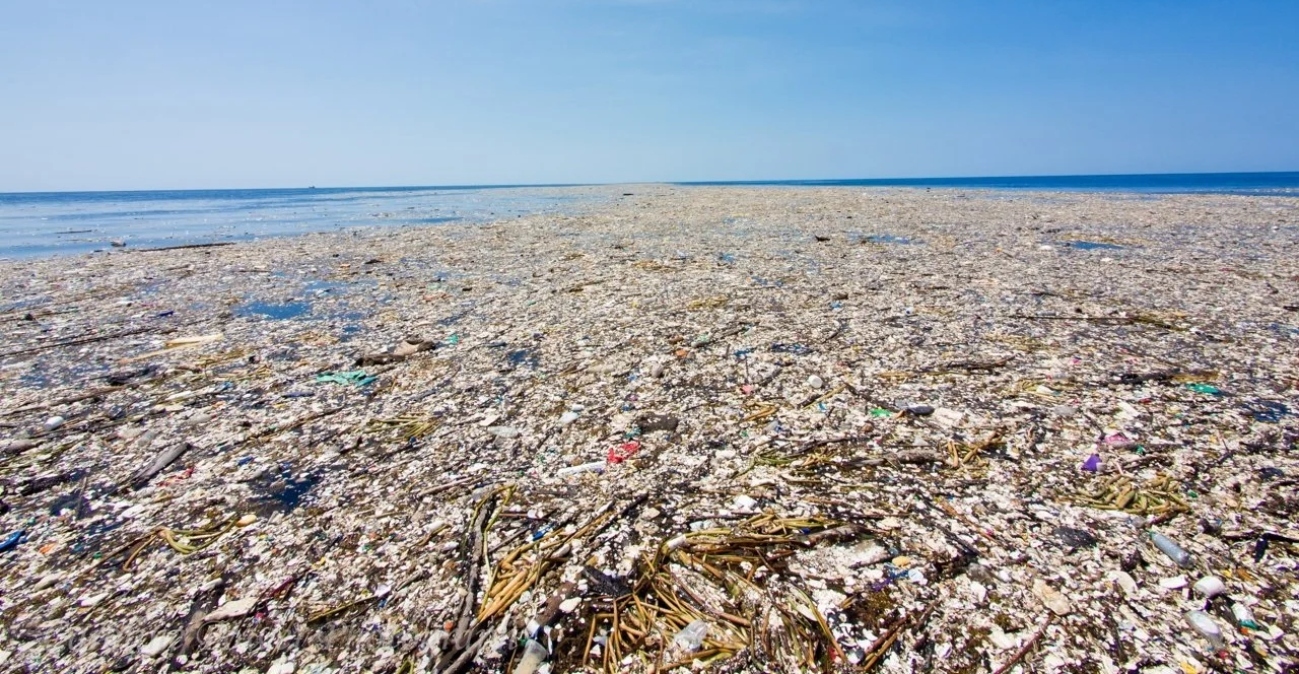 Το «νησί» που δεν θα έπρεπε να υπάρχει: Πώς τα σκουπίδια δημιούργησαν ένα επικίνδυνο οικοσύστημα στον Ειρηνικό Ωκεανό
