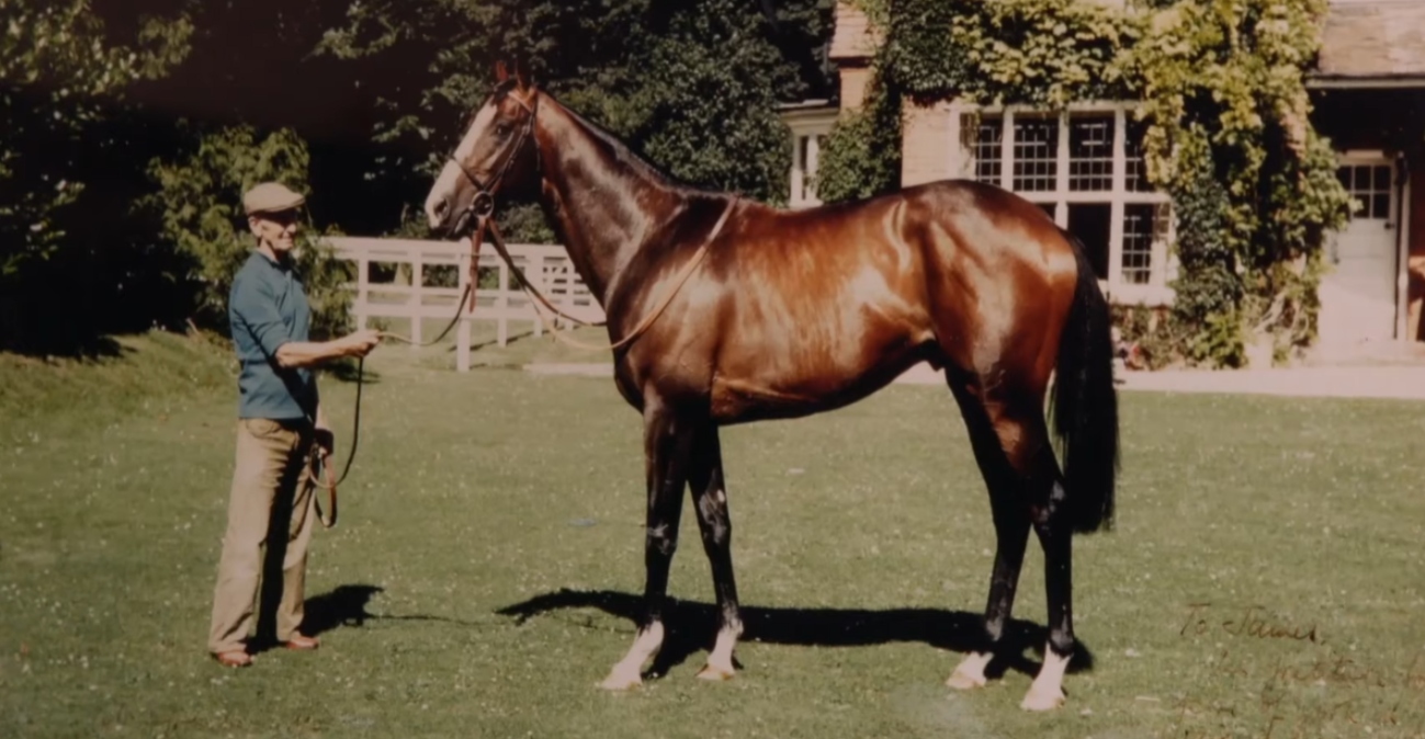 Η απαγωγή του πιο ακριβού αλόγου στον κόσμο που παραμένει άλυτο μυστήριο από το 1983