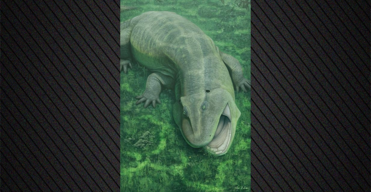 Ανακαλύφθηκε παράξενο προϊστορικό ζώο με στριμμένη γνάθο και δόντια που κοιτούσαν στο πλάι που ζούσε πριν από 275 εκατ. χρόνια