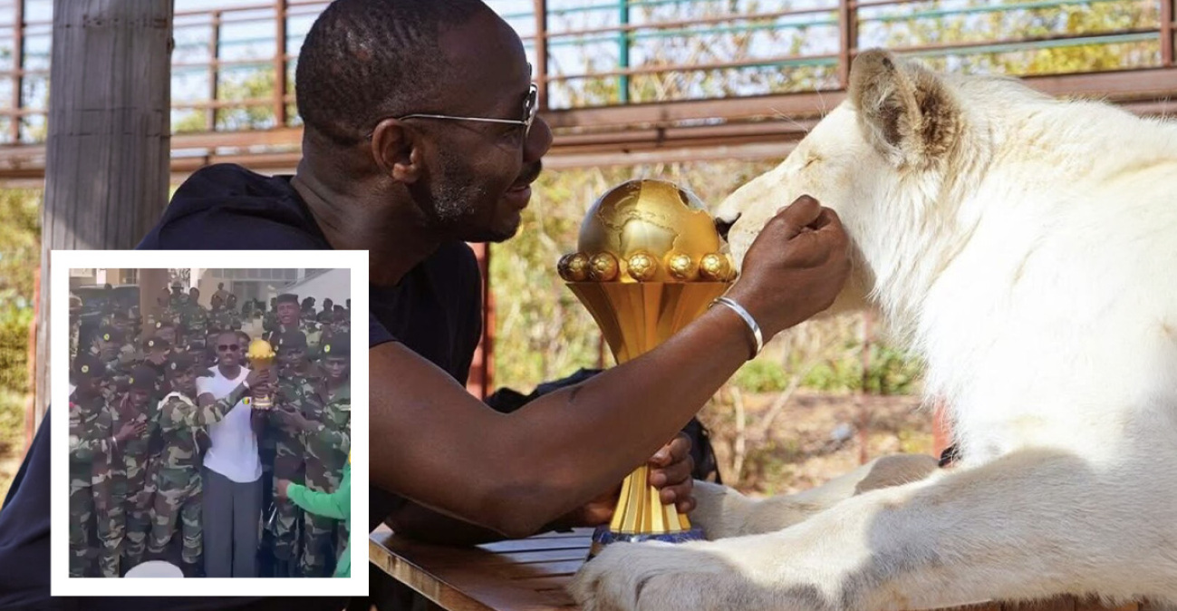 Κόπα Άφρικα: Το τρόπαιο φυλάσσεται από... λιοντάρια και στρατιώτες, δείτε βίντεο