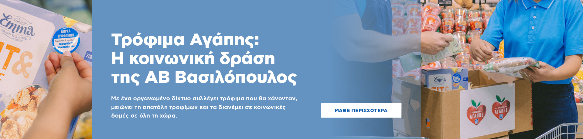 grids_pt_ab__trofima_agapis_desktop