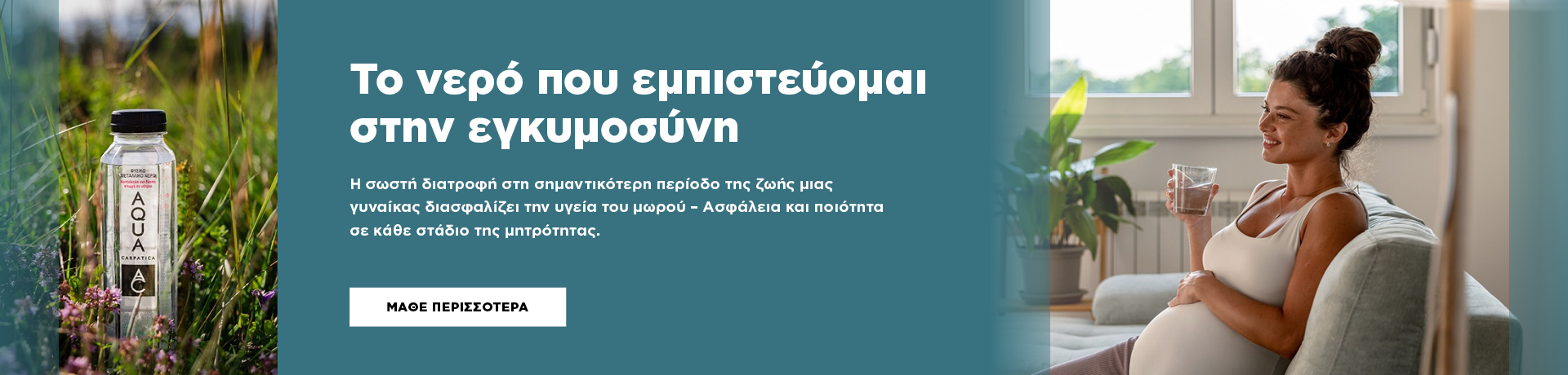 grid____pt__aqua_carpatica_egkymosini