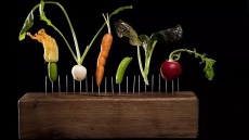 Τρώγεται η τέχνη; Εμβληματικά πιάτα που άλλαξαν τη γαστρονομία