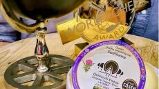 Πορτογαλία: Με πρόβειο γάλα και πυτιά από γαϊδουράγκαθο το νοστιμότερο τυρί στον κόσμο – Το τρως με κουτάλι!