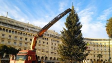 Θεσσαλονίκη: Έλατο ύψους 20 μέτρων στήθηκε στην πλατεία Αριστοτέλους - Πότε θα φωταγωγηθεί