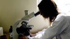 ΕΟΔΥ: 550 νέα περιστατικά HIV λοίμωξης στην Ελλάδα το 2024 - Τα στοιχεία για τον τρόπο μόλυνσης