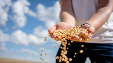 Η ΕΕ σχεδιάζει περιορισμούς τύπου «Τραμπ» σε εισαγωγές τροφίμων