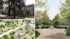 Τατόι: Αυτό είναι το σχέδιο αποκατάστασης των χώρων πρασίνου του Κτήματος 