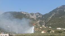 Φωτιά τώρα στην περιοχή Ριζά Μεσσηνίας - Σηκώθηκαν 3 εναέρια