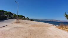 Εκχερσώσεις στην παραλία της Νέας Μάκρης για την κατασκευή αντλιοστάσιου λυμάτων του βιολογικού καθαρισμού 