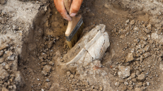 Ρωμαϊκός τάφος με αρχαιοελληνικές επιγραφές ανακαλύφθηκε στην Αλβανία - Δείτε βίντεο