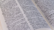 Η γλώσσα στην εποχή της πανδημίας, των social media και των κοινωνικών κρίσεων 