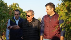 Estates Costa Lazaridi: Οι πρωτοπόροι οινοποιοί που επαναπροσδιορίζουν την καλλιέργεια του αμπελιού 